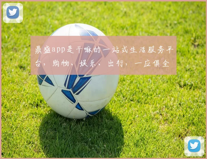 鼎盛app是干嘛的一站式生活服务平台，购物、娱乐、出行，一应俱全，方便快捷，尽享便捷生活