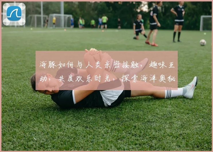 海豚如何与人类亲密接触，趣味互动，共度欢乐时光，探索海洋奥秘，三步轻松实现