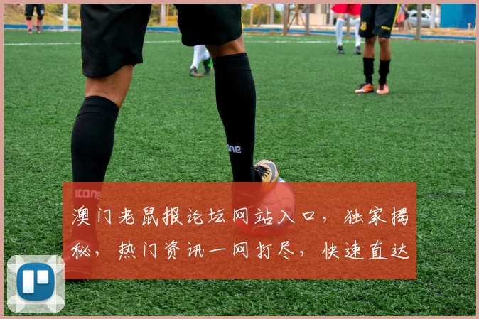 澳门老鼠报论坛网站入口，独家揭秘，热门资讯一网打尽，快速直达