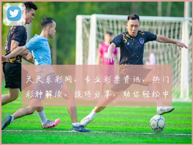 天天乐彩网，专业彩票资讯，热门彩种解读，技巧分享，助你轻松中大奖，不容错过