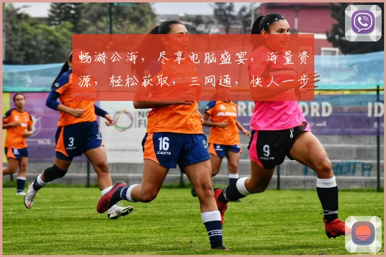 畅游公海，尽享电脑盛宴，海量资源，轻松获取，三网通，快人一步，体验非凡