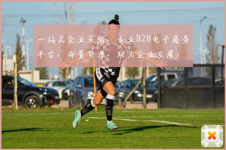 一站式企业采购，专业B2B电子商务平台，海量货源，助力企业发展，尽在品牌名官网，您的生意伙伴